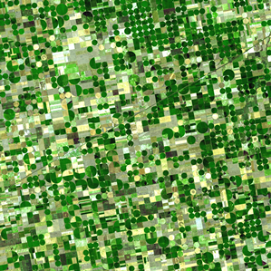Agricultura