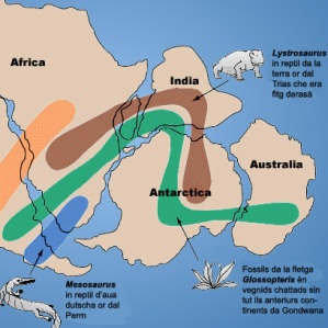 Tectonica da plattas