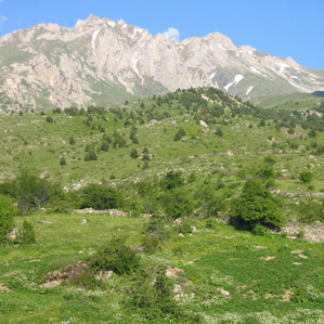 Macedonia dal Nord