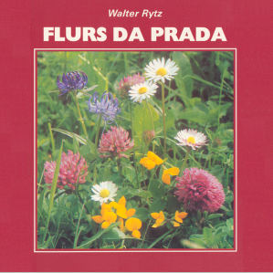 Flurs da prada