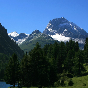 Parc Ela