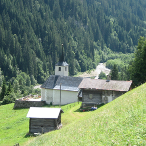 Stussavgia