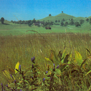 Protecziun da natira e patria