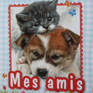 Mes amis