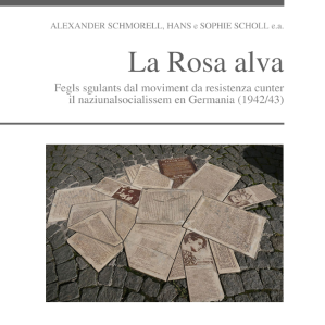 Rosa alva