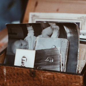Genealogia